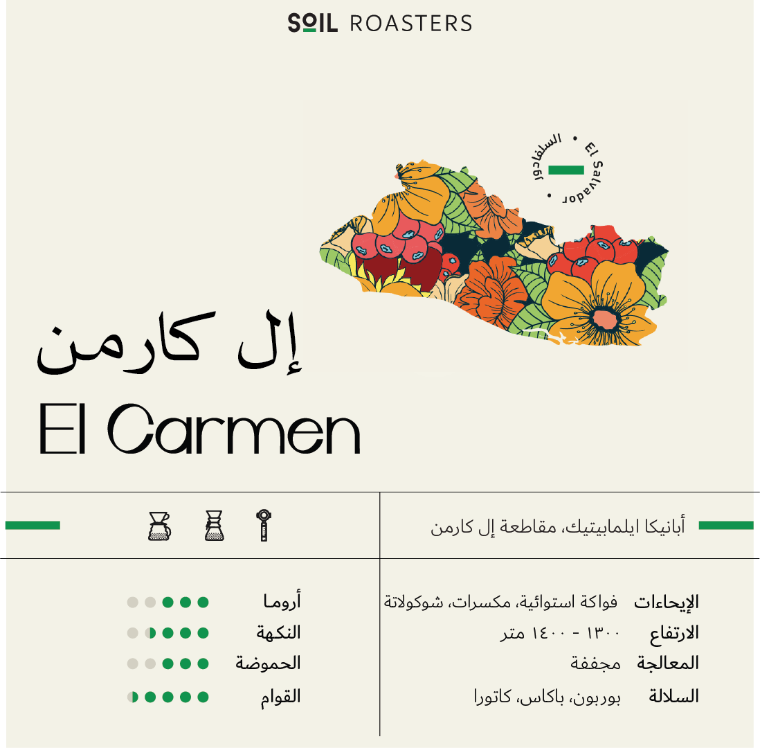 250g Salvador - El carmen - الكارمن - السلفادور